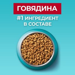 Сухой корм Purina One для стерилизованных кошек, говядина/пшеница, 750 г