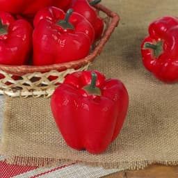 Муляж «Перец», красный