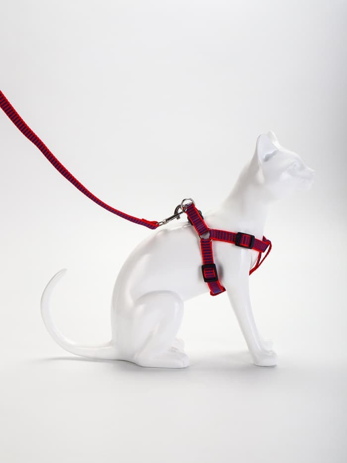 Комплект амуниции рельефный, поводок 120×1.5 см, ОГ 36-49 см, красно-синий