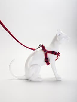 Комплект амуниции рельефный, поводок 120×1.5 см, ОГ 36-49 см, красно-синий