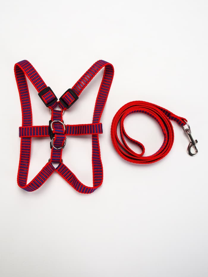 Комплект амуниции рельефный, поводок 120×1.5 см, ОГ 36-49 см, красно-синий