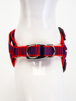 Комплект амуниции рельефный, поводок 120×1.5 см, ОГ 36-49 см, красно-синий