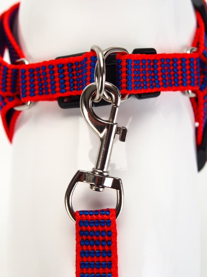 Комплект амуниции рельефный, поводок 120×1.5 см, ОГ 36-49 см, красно-синий