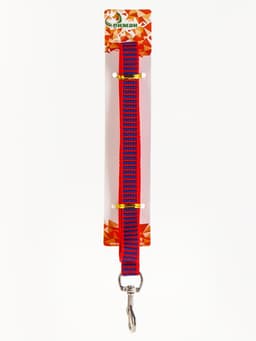 Комплект амуниции рельефный, поводок 120×1.5 см, ОГ 36-49 см, красно-синий