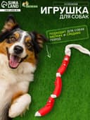 Игрушка для собак «3 сосиски», 50 см, на канате, винил, цвет МИКС