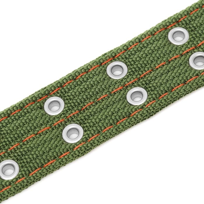 Ошейник, 65×4 см, ОШ 54-60 см, четырёхслойный с вертлюгом, полиэстер, зелёный