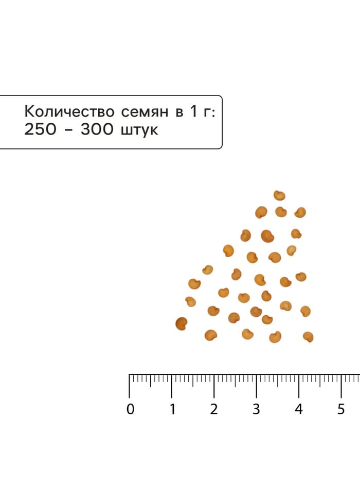 Семена Баклажан «Японский карлик», 20 шт., «Сибирский сад»