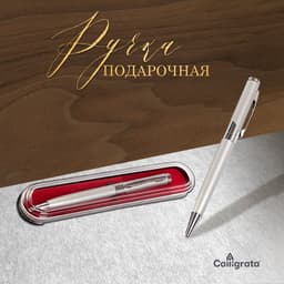 Ручка подарочная, шариковая «Бизнес» в пластиковом футляре, поворотная, серебристая