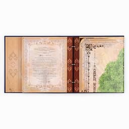 Родословная книга с рамкой под фото «Родословная книга», 50 листов, 21.5×23.7 см