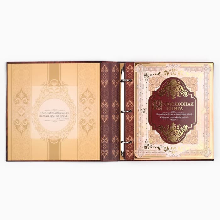 Родословная книга с рамкой под фото «Родословная книга», 50 листов, 21.5×23.7 см