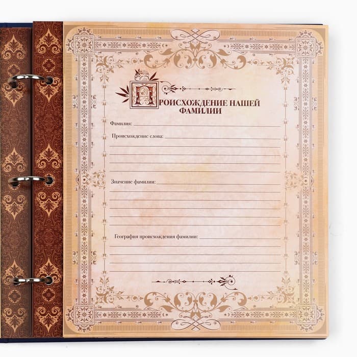 Родословная книга с рамкой под фото «Родословная книга», 50 листов, 21.5×23.7 см