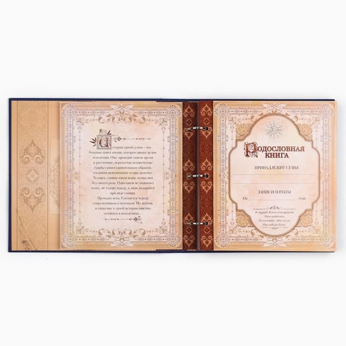 Родословная книга с рамкой под фото «Родословная книга», 50 листов, 21.5×23.7 см