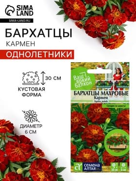 Семена цветов Бархатцы «Кармен», 0.2 г, «Семена Алтая»