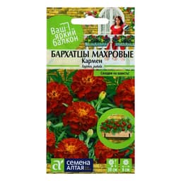 Семена цветов Бархатцы «Кармен», 0.2 г, «Семена Алтая»
