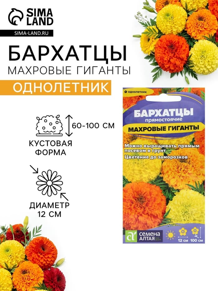 Семена цветов Бархатцы «Махровые Гиганты», ц/п, О, 0.2 г