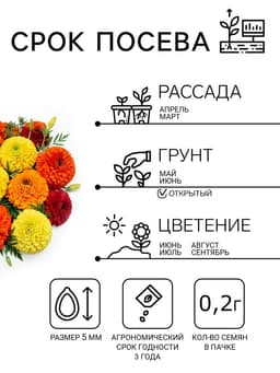 Семена цветов Бархатцы «Махровые Гиганты», ц/п, О, 0.2 г