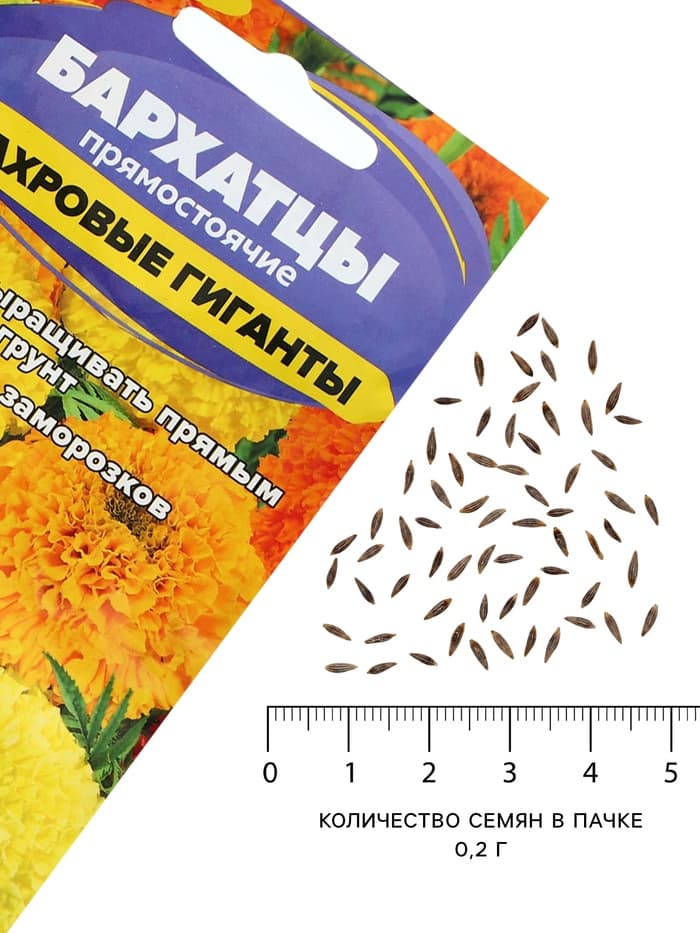 Семена цветов Бархатцы «Махровые Гиганты», ц/п, О, 0.2 г