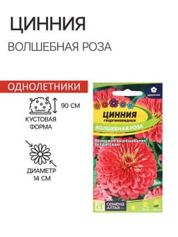 Семена цветов Цинния "Волшебная Роза", ц/п,  О, ц/п, 0,3 г.