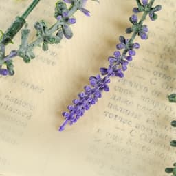 Букет искусственный «Лаванда», h=30 см