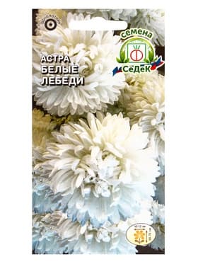 Семена цветов Астра «Белые лебеди», 0.2 г, «СеДеК»