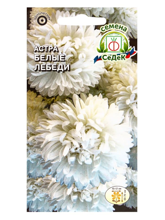 Семена цветов Астра «Белые лебеди», 0.2 г, «СеДеК»