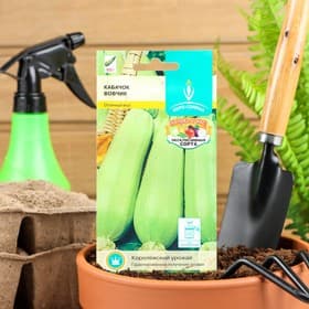 Семена Кабачок «Вовчик», раннеспелый, белоплодный, универсальный, 1 г, «Евро-семена»