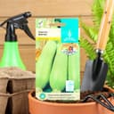 Семена Кабачок «Вовчик», раннеспелый, белоплодный, универсальный, 1 г, «Евро-семена»