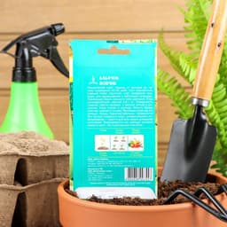 Семена Кабачок «Вовчик», раннеспелый, белоплодный, универсальный, 1 г, «Евро-семена»