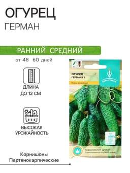 Семена огурца «Герман», F1, 8 шт., «Евросемена»
