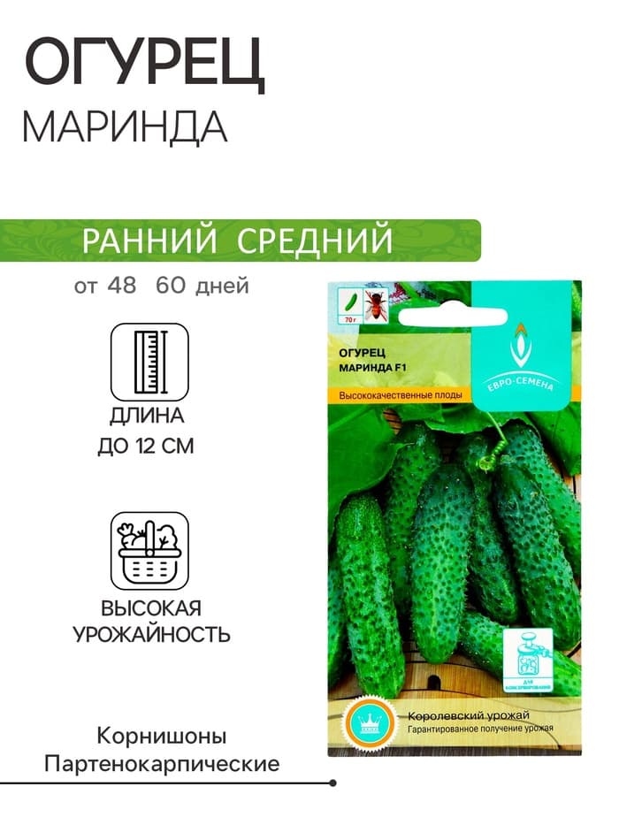 Семена Огурец «Маринда», F1, партенокарпический, 10 шт., «Евро-семена»