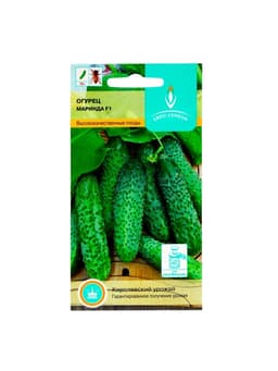 Семена Огурец «Маринда», F1, партенокарпический, 10 шт., «Евро-семена»