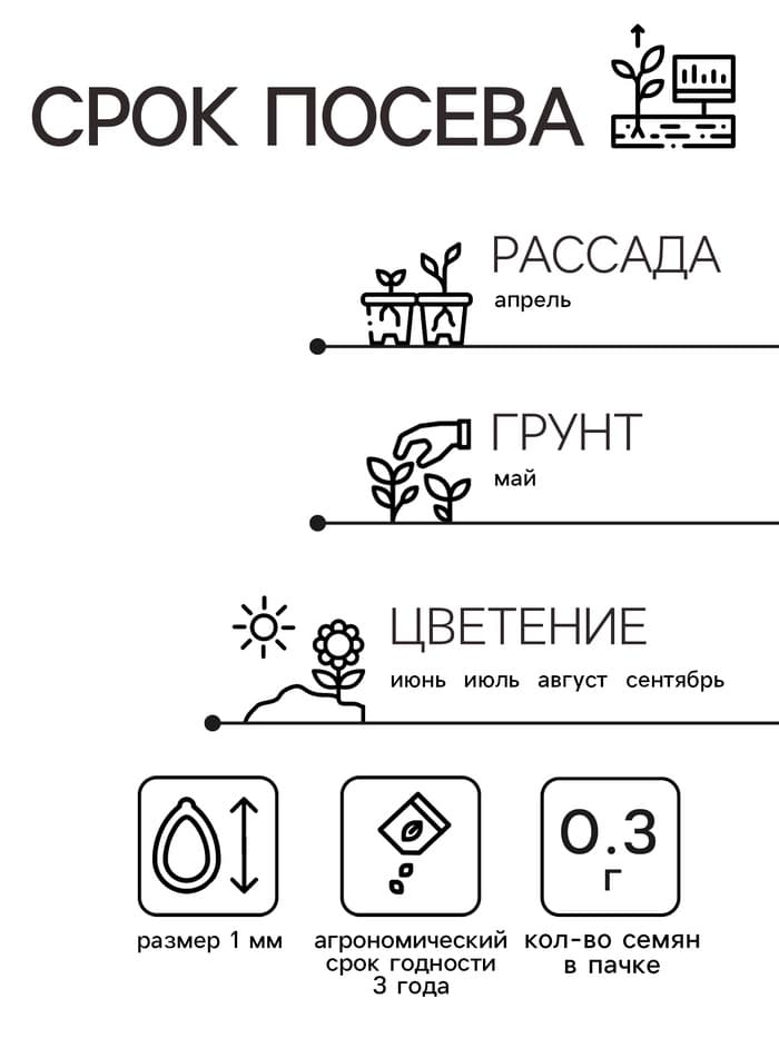 Семена цветов Цинния «Георгиновидная», смесь окрасок, однолетник, 0.3 г, «Аэлита»