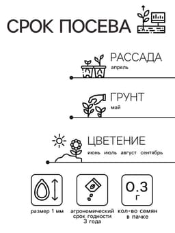 Семена цветов Цинния «Георгиновидная», смесь окрасок, однолетник, 0.3 г, «Аэлита»