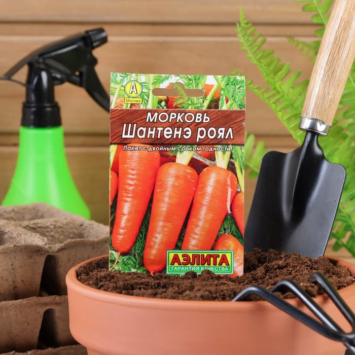 Семена Морковь «Шантенэ Роял», 2 г, «Аэлита»
