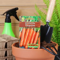 Семена Морковь «Тушон», 2 г, «Аэлита»