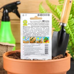 Семена Морковь «Детская сладость», 2 г, «Аэлита»