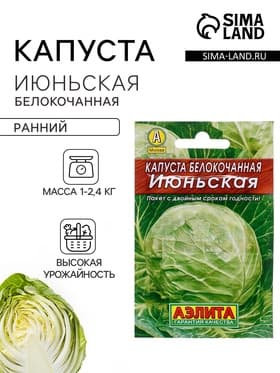 Семена Капуста белокочанная «Июньская», 0.5 г, «Аэлита»