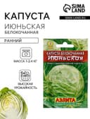 Семена Капуста белокочанная «Июньская», 0.5 г, «Аэлита»