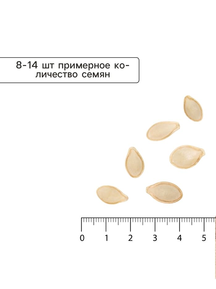 Семена Кабачок цуккини «Скворушка», «Лидер», 1.5-2 г
