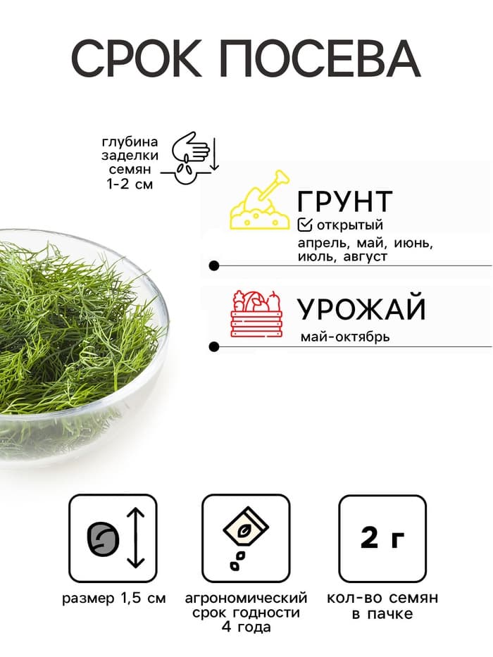 Семена Укроп «Обильнолистный», 2 г, «АЭЛИТА»