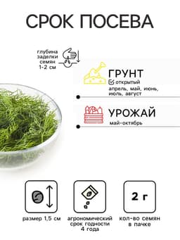 Семена Укроп «Обильнолистный», 2 г, «АЭЛИТА»
