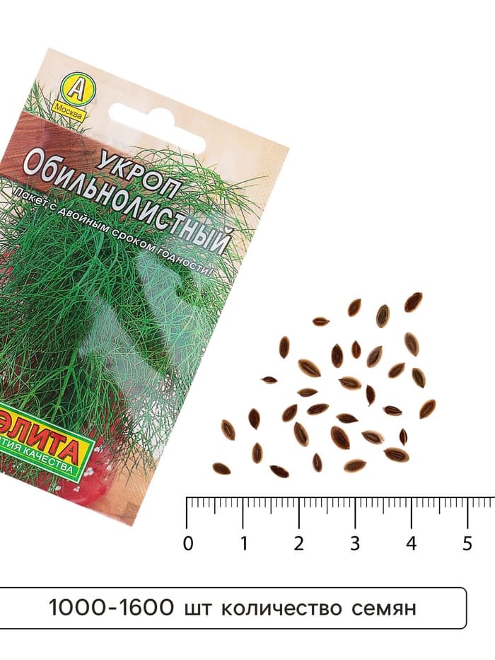 Семена Укроп «Обильнолистный», 2 г, «АЭЛИТА»