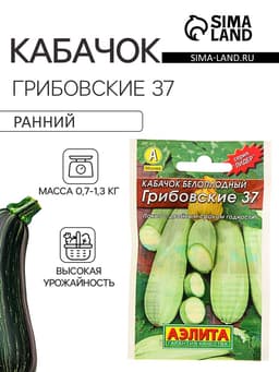 Семена Кабачок белоплодный «Грибовские 37», 8 шт., «Аэлита»