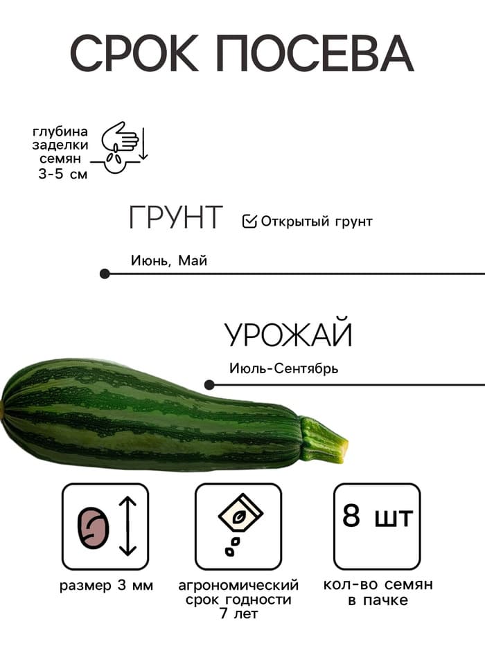 Семена Кабачок белоплодный «Грибовские 37», 8 шт., «Аэлита»
