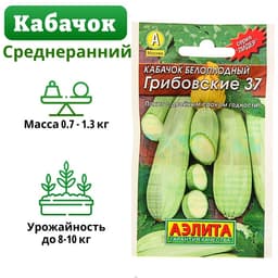 Семена Кабачок белоплодный «Грибовские 37», 8 шт., «Аэлита»