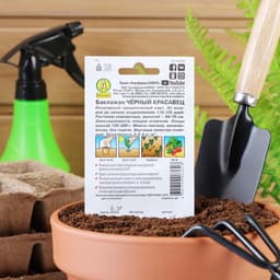 Семена Баклажан «Чёрный красавец», 0.1 г, «Аэлита»