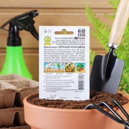 Семена Баклажан «Чёрный красавец», 0.1 г, «Аэлита»