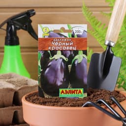 Семена Баклажан «Чёрный красавец», 0.1 г, «Аэлита»