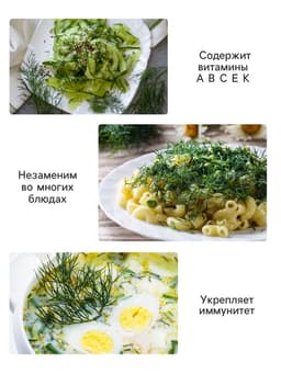Семена Укроп "Вологодские кружева" "Лидер", 1 г   ,