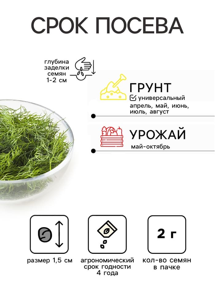 Семена Укроп «Лесногородский», 2 г